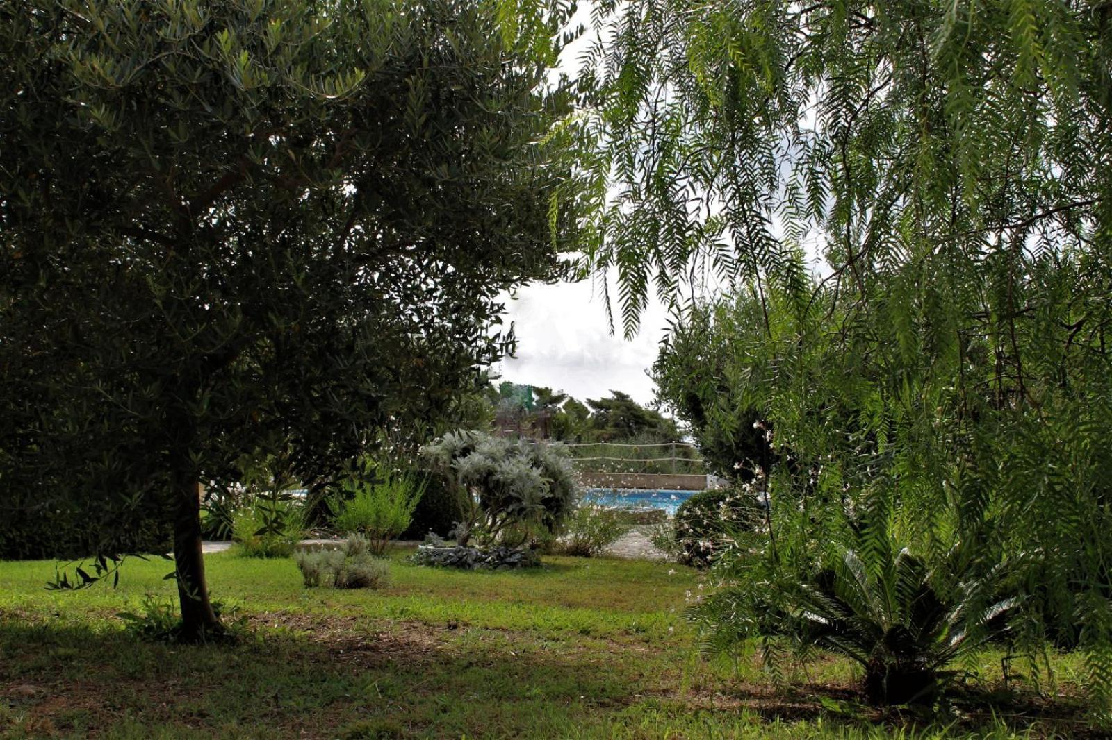 Residence Les Oliviers ปอร์โตอัซซูร์โร ภายนอก รูปภาพ
