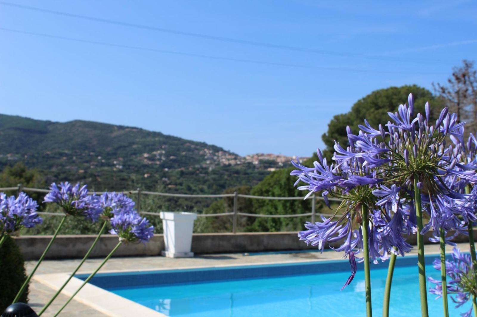 Residence Les Oliviers ปอร์โตอัซซูร์โร ภายนอก รูปภาพ